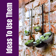 Load image into Gallery viewer, Vintage Green Enamel Ladle Wall Planters, Rustic Succulent Holders, Hanging Farmhouse Kitchen Decor, Upcycled Garden Wall Art