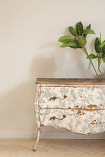 Load image into Gallery viewer, Grisaille Toile IOD Paint Inlay - LIMITED EDITION