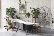 Load image into Gallery viewer, Queen Of The Nile IOD Paint Inlay - Four 12" by 16" Pages, by Iron Orchid Designs