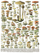 Load image into Gallery viewer, Millot's - 8 Page Iron Orchid Designs Decor Transfer