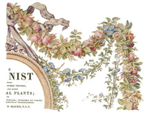 Load image into Gallery viewer, The Botanist Four-Page Decor Transfer™ In Pad Format