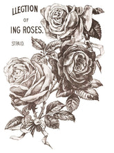 Load image into Gallery viewer, May's Roses Four-Page Decor Transfer™ In Pad Format