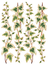 Load image into Gallery viewer, Collage de Fleurs - 8 Page Iron Orchid Designs Decor Transfer™