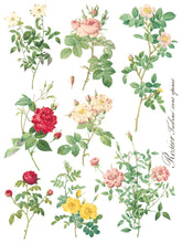 Load image into Gallery viewer, Rose Botanical IOD Transfer - Eight 12" x 16" Pages, Image Transfer, Rub-On Image by Iron Orchid Designs