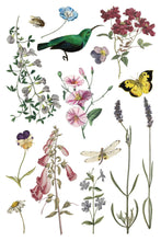 Load image into Gallery viewer, Wilde Bloemen IOD Transfer 8-Page, 8x12 Pad