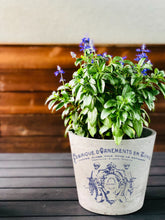 Load image into Gallery viewer, Traditional Pots IOD Transfer - Four 12" x 16" Pages, Image Transfer, Rub-On Image by Iron Orchid Designs