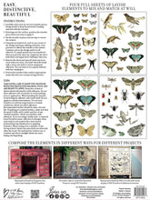 Load image into Gallery viewer, Entomology IOD Transfer - Four 12&quot; x 16&quot; Pages, Image Transfer, Rub-On Image by Iron Orchid Designs

