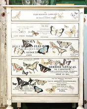 Load image into Gallery viewer, Entomology IOD Transfer - Four 12" x 16" Pages, Image Transfer, Rub-On Image by Iron Orchid Designs
