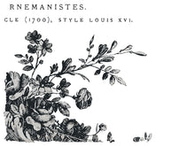 Load image into Gallery viewer, Cosette IOD Transfer - Eight 12" x 16" Pages, Image Transfer, Rub-On Image by Iron Orchid Designs
