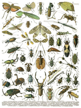 Load image into Gallery viewer, Millot&#39;s - 8 Page Iron Orchid Designs Decor Transfer
