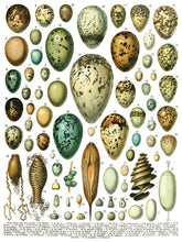 Load image into Gallery viewer, Millot&#39;s - 8 Page Iron Orchid Designs Decor Transfer
