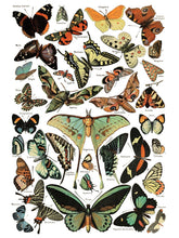 Load image into Gallery viewer, Millot&#39;s - 8 Page Iron Orchid Designs Decor Transfer
