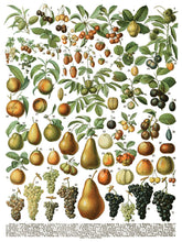 Load image into Gallery viewer, Millot&#39;s - 8 Page Iron Orchid Designs Decor Transfer
