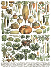 Load image into Gallery viewer, Millot&#39;s - 8 Page Iron Orchid Designs Decor Transfer
