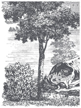 Load image into Gallery viewer, Summer Villa Paint Inlay - Paint Inlay 12&quot; x 16&quot; Pad
