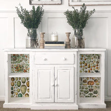 Load image into Gallery viewer, Millot&#39;s IOD Transfer - Eight 12&quot; x 16&quot; Pages, Image Transfer, Rub-On Image by Iron Orchid Designs
