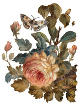 Load image into Gallery viewer, Joie des Roses - 8 Page Iron Orchid Designs Decor Transfer™
