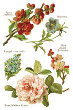 Load image into Gallery viewer, Lover of Flowers - Eight-Page Decor Transfer™ In 8&quot; x 12&quot; Pad Format
