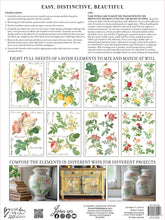 Load image into Gallery viewer, Rose Botanical IOD Transfer - Eight 12&quot; x 16&quot; Pages, Image Transfer, Rub-On Image by Iron Orchid Designs
