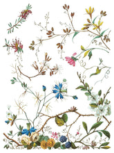 Load image into Gallery viewer, Lost Garden IOD Transfer 8-Page, 12x16 Pad
