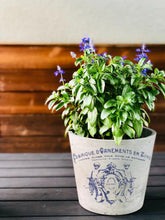 Load image into Gallery viewer, Traditional Pots IOD Transfer - Four 12" x 16" Pages, Image Transfer, Rub-On Image by Iron Orchid Designs
