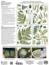 Load image into Gallery viewer, Fronds Botanical IOD Transfer - Four 12" x 16" Pages, Image Transfer, Rub-On Image by Iron Orchid Designs
