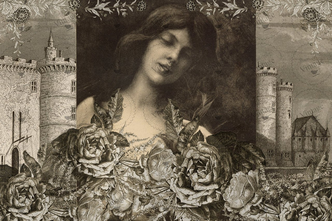 Chateau Fleurit JRV Decoupage Paper by Jami Ray Vintage