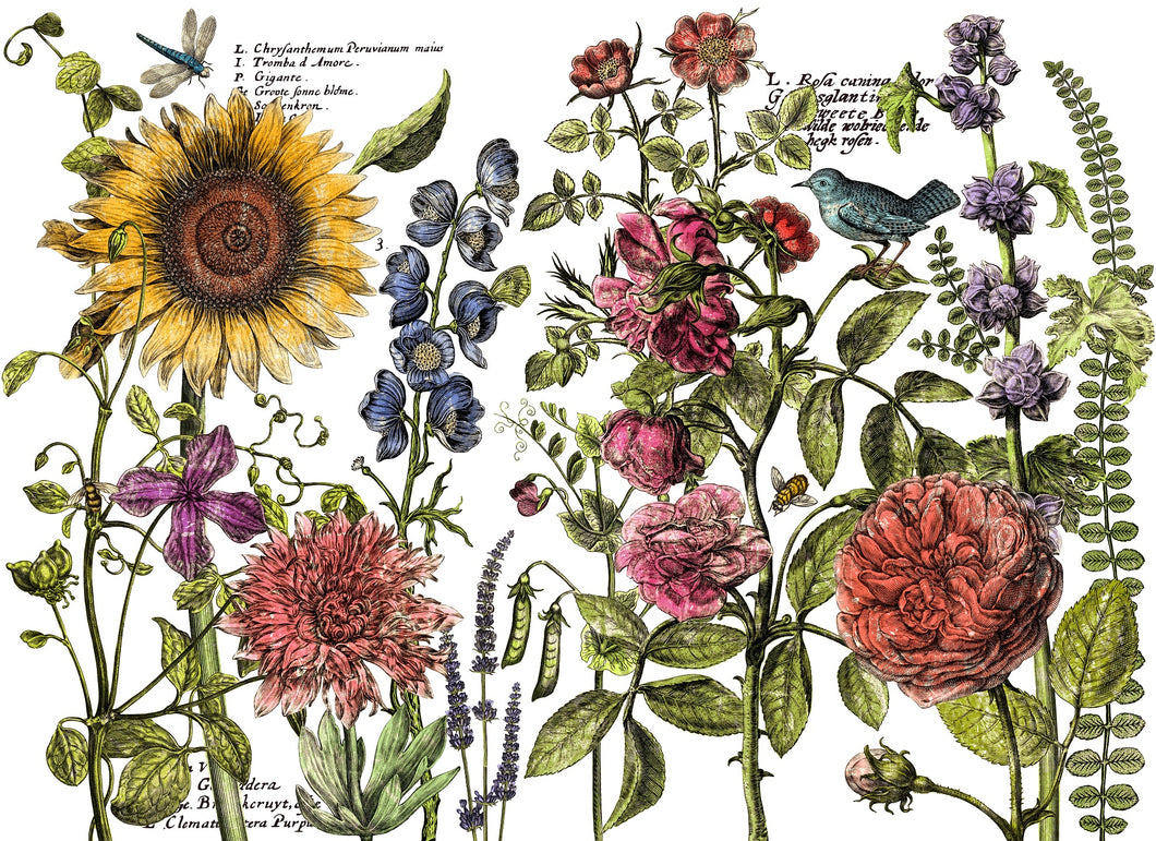 Botanist's Journal IOD Transfer - Four 12