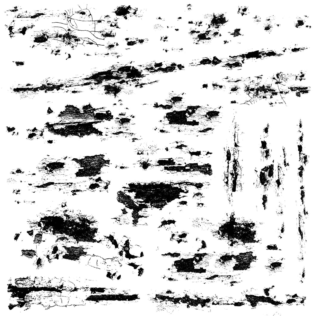 Chippy Paint IOD Stamp - One 12